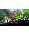 LEDlife aquarium T8-Pro150 - 25W LED buis, 10000K, 150 cm