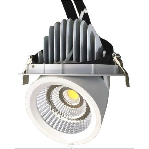 30W Ø16,5cm Downlight - Gat: Ø15,5 cm, Afmetingen: Ø16,5 cm, 3100lm, Verstelbare hoek