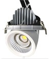 30W Ø16,5cm Downlight - Gat: Ø15,5 cm, Afmetingen: Ø16,5 cm, 3100lm, Verstelbare hoek