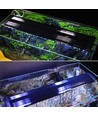 48-70 cm aquariumarmatuur - 11W LED, wit/blauw, verstelbaar