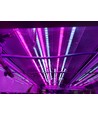 1 meter waterdichte aluminiumprofiel voor groei - 24V, 19,5W LED, 3:1 rood/blauwe verdeling, IP65, met stekker