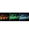 5 meter 12W/m RGB+WW LED-strip - 24V DC, IP20, 60 LED's per meter