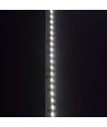 5m 11W/m Zijwaartse LED strip - 24V DC, IP20, 120 LED's per meter