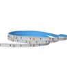 5m 11W/m Zijwaartse LED strip - 24V DC, IP20, 120 LED's per meter