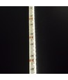 LEDlife 11W/m zijlicht LED-strip - 5m, IP65, 24V, 120 LED per meter