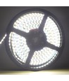 LEDlife 11W/m zijlicht LED-strip - 5m, IP65, 24V, 120 LED per meter