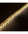 LEDlife 11W/m zijlicht LED-strip - 5m, IP65, 24V, 120 LED per meter