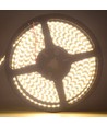 LEDlife 11W/m zijlicht LED-strip - 5m, IP65, 24V, 120 LED per meter