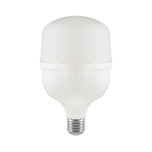 E27 30W LED-lamp - T100