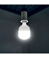 E27 30W LED-lamp - T100