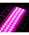 1,1W per stuk Waterdichte roze LED-module - 12V DC, IP66, perfect voor borden en speciale oplossingen