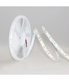 10m 12W/m LED-strip RA97 - 24V DC, IP20, 120 LEDs per meter