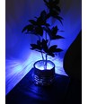 Waterdicht blauw LED-module - 1,1W per stuk, IP66, 12V, Perfect voor borden en speciale toepassingen