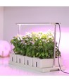 LEDlife hydroponische plantenbak - Wit, incl. groeilamp, 20 plaatsen, 4x2L watertank