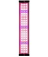 LEDlife hydroponische plantenbak - Wit, incl. groeilamp, 20 plaatsen, 4x2L watertank