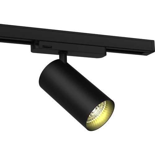 20W 3-fase RA90 Railspot - 100 lm/W, 36 graden, Zwart, Philips LED