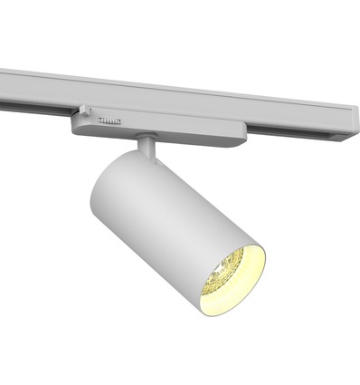 30W 3-fasen RA90 Philips LED spanningsrailspot - 100 lm/W, 36 graden, Wit