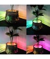 20 stuks 2W waterdichte RGBIC LED-modules - 12V DC, IP65, perfect voor borden en speciale oplossingen