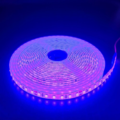 5m 10W/m Paarse LED-strip - 24V DC, IP65, 120 LED's per meter