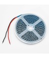 5m 10W/m Paarse LED-strip - 24V DC, IP65, 120 LED's per meter