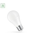 24V, E27 LED-lamp, 10W - AC/DC, Spectrum