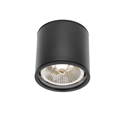 Plafondlamp AR111, GU10 - IP65, zwart, aluminium, opbouw, zonder lichtbron