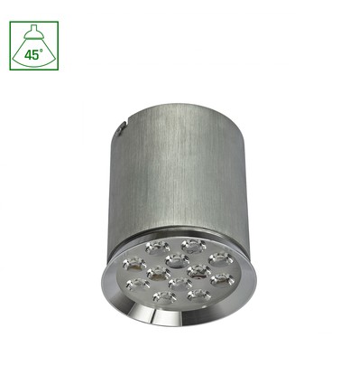 CHLOE 12LED 230V 12W IP20 45DEG CW CEILING