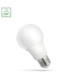 E27 7W LED-lamp - A60