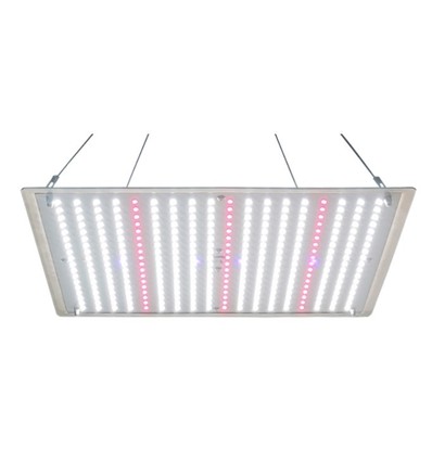 LEDlife Helios groeilamp 70W, IP65 - Inclusief ophangbeugel, volledig spectrum, zonder ventilator, dimbaar