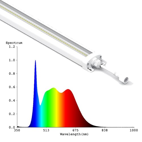 LEDlife 50W Philips LED groeilamp - 112,5 cm, RA95, volledig spectrum, IK05, IP65