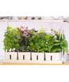 LEDlife hydroponische plantenbak - Wit, incl. groeilamp, 20 plaatsen, 4x2L watertank