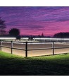 5m 10W/m waterdichte LED strip (Type X-2) - 230V, IP67, 1300lm/m, inkortbaar per 10cm, tot 50m