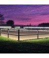 50m Rijbaan 230V strip - IP65, 120 LED/m, 4,8W/m, 480 lm/m