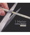 5 m waterdichte rijbaanstrip (Type Q) - 230V, IP67, 120 LED, 6W per meter
