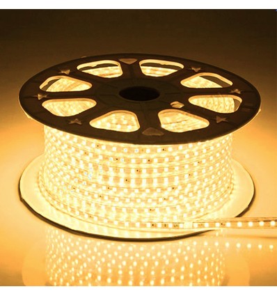 5 m waterdichte rijbaanstrip (Type Q) - 230V, IP67, 120 LED, 6W per meter