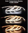 5m 10W/m CCT COB-LED strip RA97 - 24V DC, IP20, 576 LED