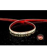 Osram 5m 11W/m LED-strip RA92 - 24V DC, IP68 waterdicht, 120 LED's per meter