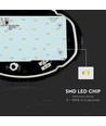 12W ovale LED plafond/wandlamp - IP54, zwart, 3000K, 24,2 x 16,5 cm