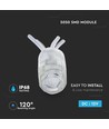 5050 Module - 0,24W, blauw, IP68