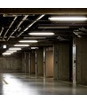 150cm 44W T8 waterdicht compleet LED armatuur - IP65, 6400K, 2x22W, koud wit
