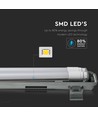 150cm 44W T8 waterdicht compleet LED armatuur - IP65, 6400K, 2x22W, koud wit