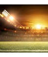500W LED Sport schijnwerper, 135lm/W - Samsung LED chip, Meanwell driver, IP65, dimbaar, 5000K