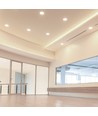 6W LED COB Hotel Downlight, RA95 - CREE chip, zilveren reflector, verstelbaar, inbouwspot