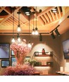 3,5W P45 LED-lamp E14 - RF-bediening, dimbaar, RGB+6400K