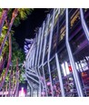 8W Neon Flex - met siliconen coating, 6000K, 24V, 5m/rol