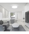 20W LED plafondlamp - Samsung LED chip, 3-in-1 CCT, IP65 waterdicht, bulkhead