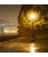 50W LED Straatverlichting - Fotocelsensor, Samsung Chip, Adapter, 6500K, 100lm/W