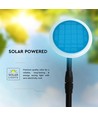 2 st. 3W LED tuinlamp op zonne-energie - IP65, 2-in-1 spies of voet, in hoogte verstelbaar 42-80cm, zwart/wit, incl. batterij