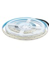 240 LED Strip Licht 20W/m - 6500K, Hoge Lumen, IP20, 5m/rol