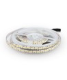 5m 17W/m LED strip - 12V DC, IP20, 204 LEDs per meter